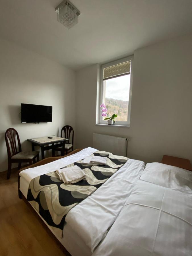 Guest House Penzion Fortuna 特夫尔多辛 外观 照片