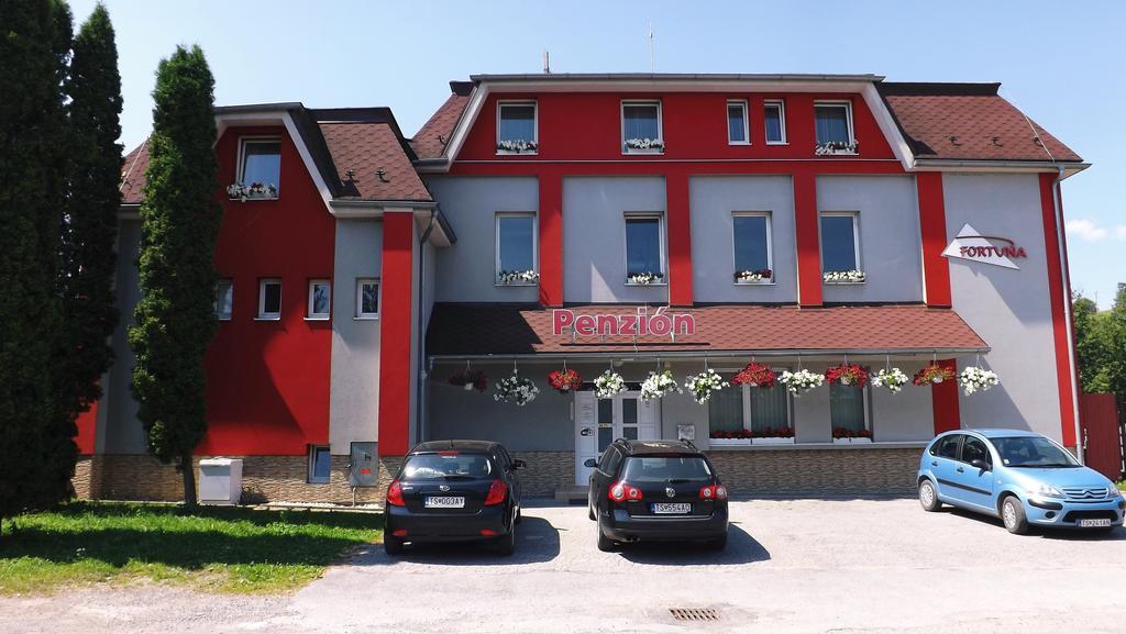 Guest House Penzion Fortuna 特夫尔多辛 外观 照片